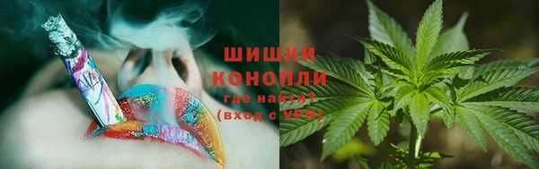 шишки Баксан