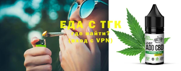 индика Балабаново