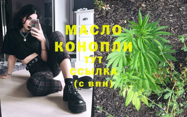 шишки Баксан