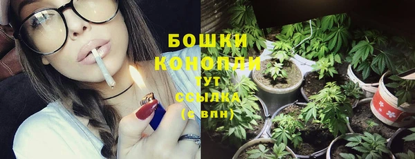 шишки Баксан