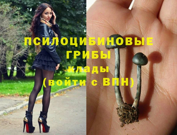молекула духа Аркадак