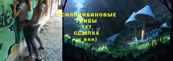 индика Балабаново