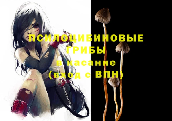 индика Балабаново